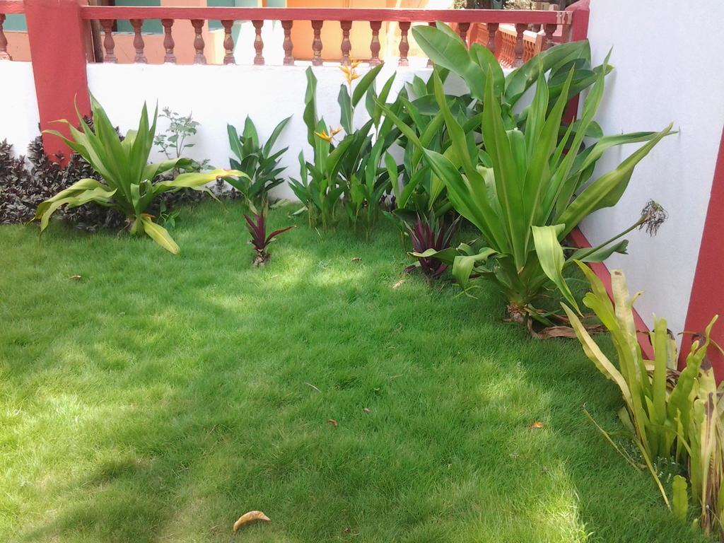 Starco Guest house